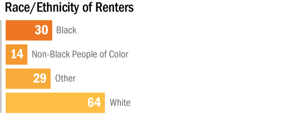 Figure 14. Breakdown of Race, All Brooklyn Center Renters and Homeowners-1
